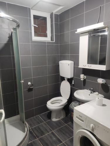 La salle de bains est pourvue de toilettes et d'un lavabo. dans l'établissement Kralj, à Prokuplje
