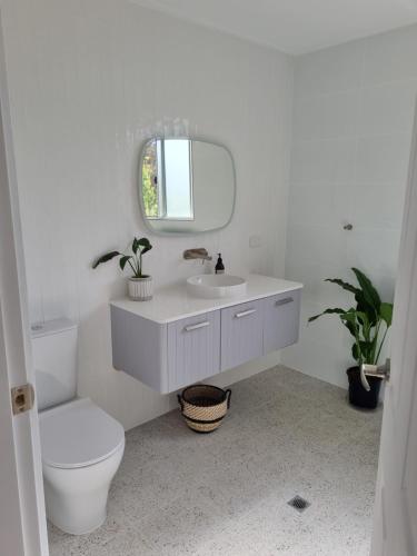 a bathroom with a toilet and a sink and a mirror at Greenhills Guesthouse in Victor Harbor