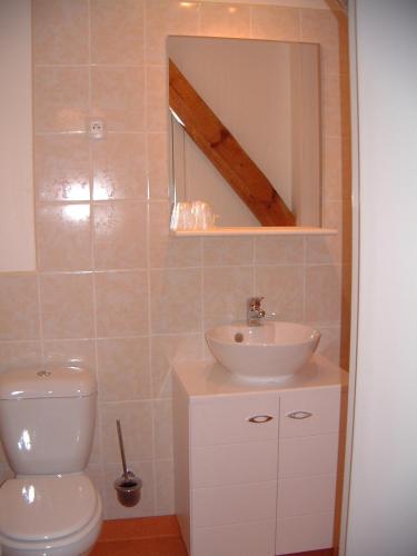 a bathroom with a white toilet and a sink at Maison Neuve Grandval in Grandval