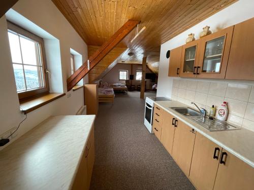 a kitchen with a sink and a counter top at Chata Boubín in Kubova Huť