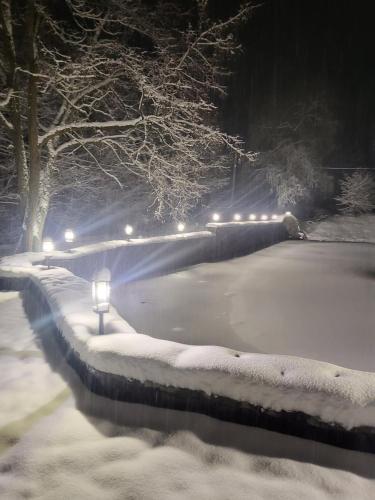 a snow covered park at night with a street light at БЕРЕЗИНИ in Simer