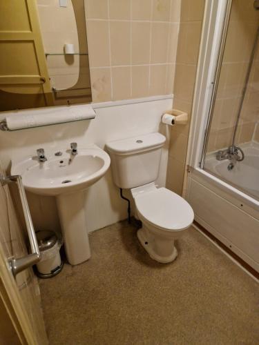 a bathroom with a toilet and a sink and a shower at The Menai Hotel and Bar in Bangor