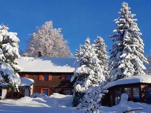 Guest House Sněžník