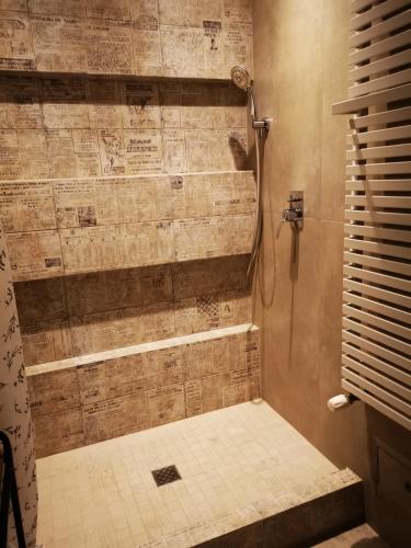 a bathroom with a shower with a tiled shower at Czwarte Piętro in Zamość