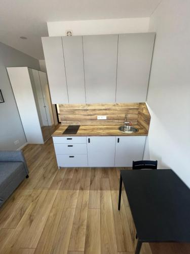 a small kitchen with a sink and white cabinets at 25 Airport Apartment in Vilnius