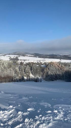 a frozen lake with snow and trees in the background at Restaurace a penzion Gansberg in Cotkytle