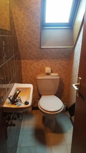 a bathroom with a toilet and a sink and a window at Residence 3 Chateaux in Ribeauvillé