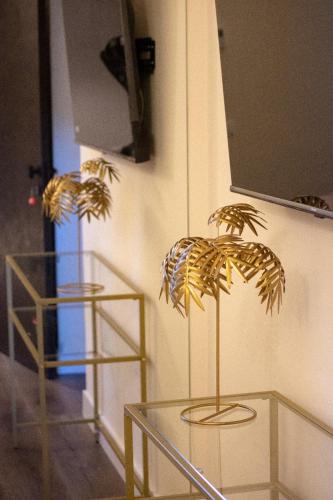 two plants sitting on top of a glass table at Palazzo Lachman rooms in Trento