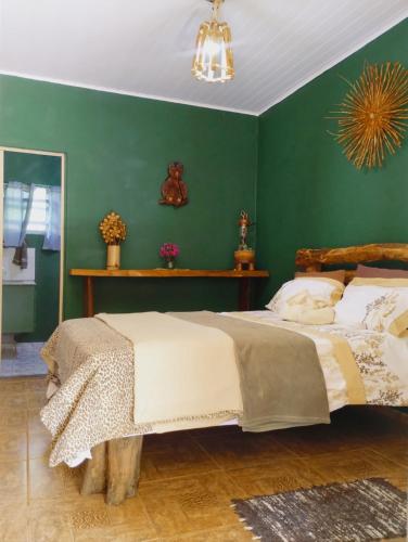a bedroom with a bed with a green wall at Hostel Rural Família Mulareks in Natividade da Serra