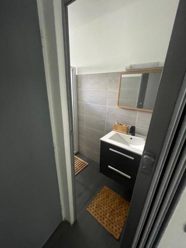 a small bathroom with a sink and a mirror at Le Cocon Des Îles in Les Abymes