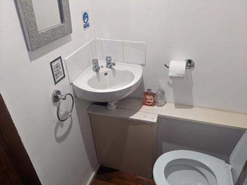 uma casa de banho com um lavatório e um WC em Edgefield House em Barking