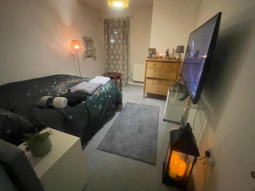 1 dormitorio con 1 cama y TV de pantalla plana en Rhapsody Premium en Waltham Abbey