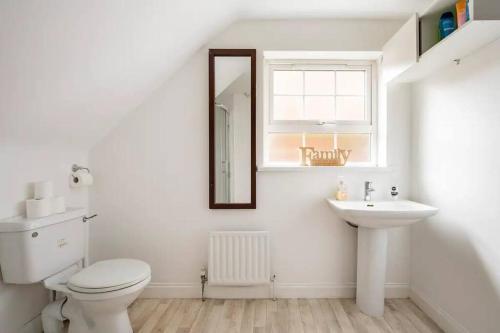 a bathroom with a toilet and a sink and a mirror at Lovely one bedroom flat. in Belfast
