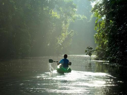 a man riding a kayak down a river at Caribbean View in Tortuguero