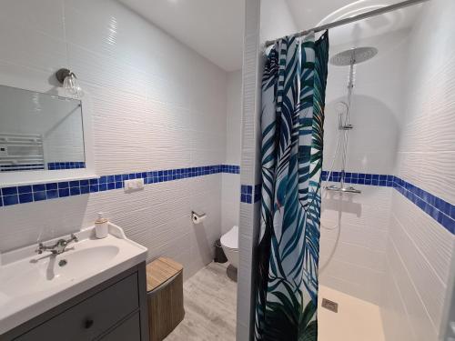 La salle de bains est pourvue d'un lavabo et d'une douche. dans l'établissement Guestroom Briare, 1 pièce, 2 personnes - FR-1-590-368, à Briare