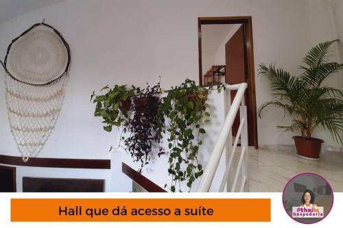 uma escada com uma planta na parede em Casa 5km Praia Coroa Vermelha 1 quarto no Térreo em Santa Cruz Cabrália
