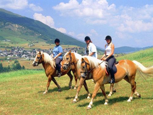 Tetamu yang menginap di Apartment in Tyrol near Ski Slopes
