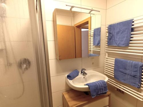 ein Bad mit einem Waschbecken, einer Dusche und einem Spiegel in der Unterkunft Nice holiday home in Hochgallmigg with terrace in Hochgallmig