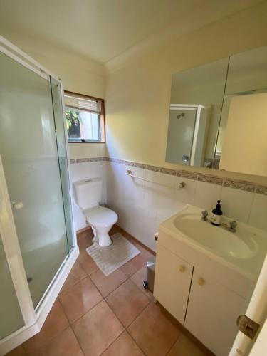 a bathroom with a toilet and a sink and a shower at Tairua Dream in Tairua