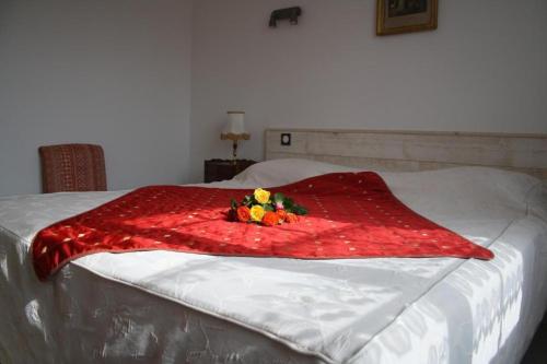 a red blanket on a bed with flowers on it at Maison la Belle Plage Asnelles in Asnelles