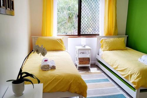 two beds in a room with yellow and green walls at Three Palms in Kooralbyn