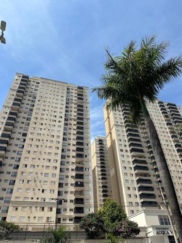 two tall buildings with a palm tree in front of them at Comfortable & Economic Acqua Village in Brasilia