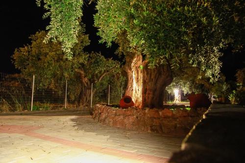 Φωτογραφία από το άλμπουμ του Studios Elianthos  στη Σκάλα Καλλιράχης