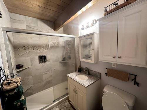 een badkamer met een douche, een toilet en een wastafel bij The Sugarlog Cabin! Large Yard For Snow Fun! in Sugarloaf