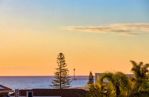 a view of a beach with a tree and the ocean at The Sail House at Seacliff in Seacliff