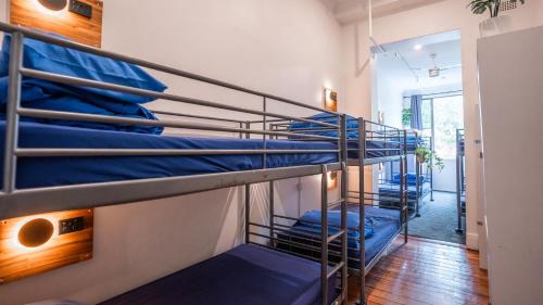 a group of bunk beds in a room at Mad Monkey East Side in Sydney