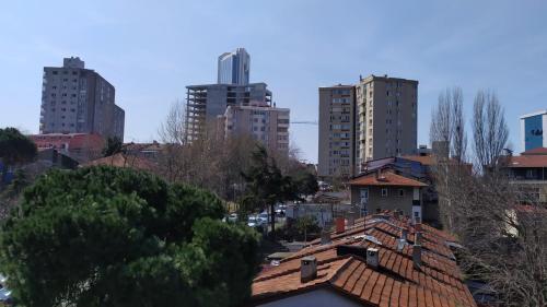 vistas a una ciudad con edificios y tejados altos en RAZI TURIZM en Estambul
