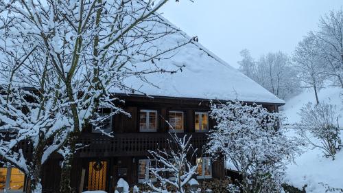 Ferienwohnung im Historischen Schwarzwaldhaus في فيدين: منزل مغطى بالثلج في الأمام