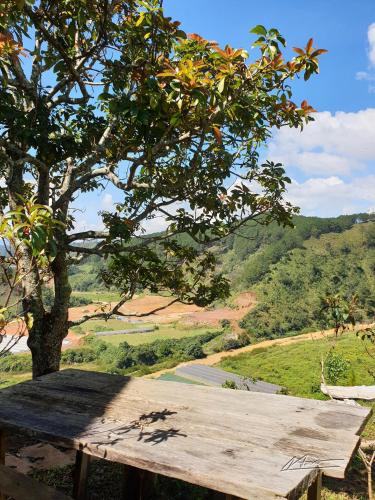 a wooden picnic table with a tree and a road at Tuyên Chiến Home - Nhà Gỗ in Ấp An Kroët