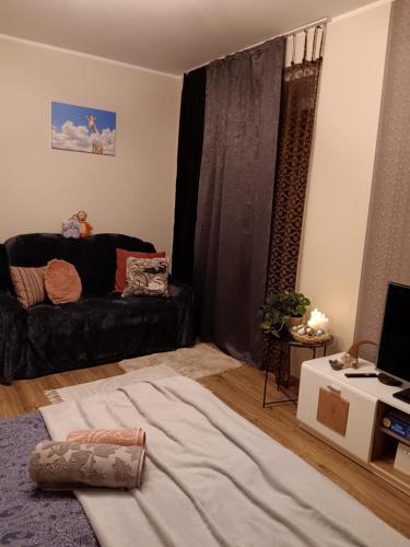 a living room with a bed and a couch at Pilve apartment in Võru