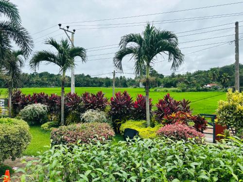 Taman di luar ruwanara royal majestry