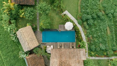 an overhead view of a swimming pool in a yard at Kubu Sakian Villa and Restaurant Sidemen in Silebeng