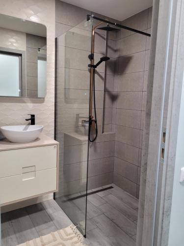 a shower with a glass door in a bathroom at Maironio apartamentai in Radviliškis