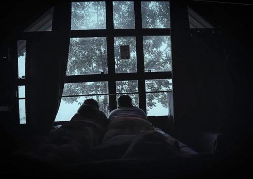 a person laying on a bed looking out of a window at Tree House Wayanad in Muthanga