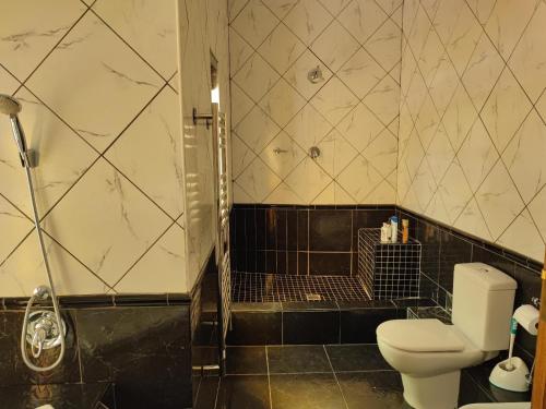 uma casa de banho com um chuveiro e um WC. em Two Lions Guesthouse em Glendinningvale