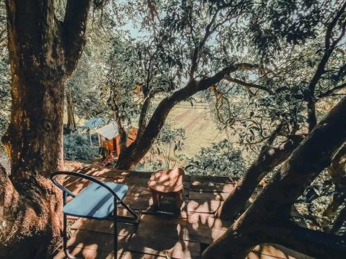 a bench sitting in the shade of trees at Pemsee's Tree Town - Eco-friendly,Tree house hostel in Sauraha