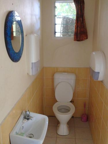 a bathroom with a toilet and a sink at Bluewater Lodge in Nadi