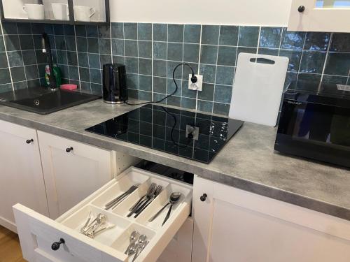 Dapur atau dapur kecil di Tabago Studio 13 K-K Wierzbowa
