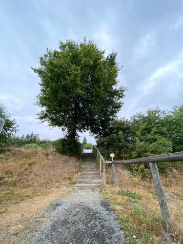 una escalera que conduce a un árbol en una colina en Camping Braunlage en Braunlage