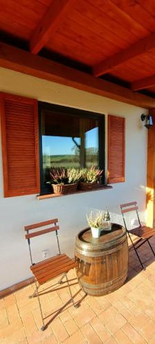 a patio with two chairs and a large window at Smocze Ranczo 3 in Ośno Lubuskie