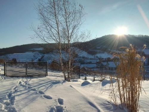 a snow covered field with the sun shining on a mountain at WIDOKOVO - Relax, cisza,widoki, sauna & jacuzzi wliczone w cenę in Laski