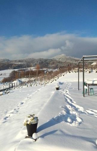 a snow covered yard with a picnic table and flowers at WIDOKOVO - Relax, cisza,widoki, sauna & jacuzzi wliczone w cenę in Laski