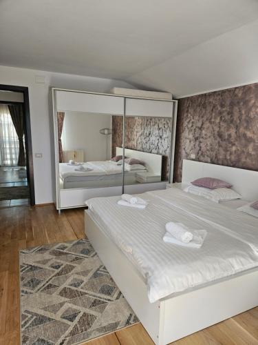 a bedroom with two beds and a large mirror at Casa Gabrielle in Călimăneşti