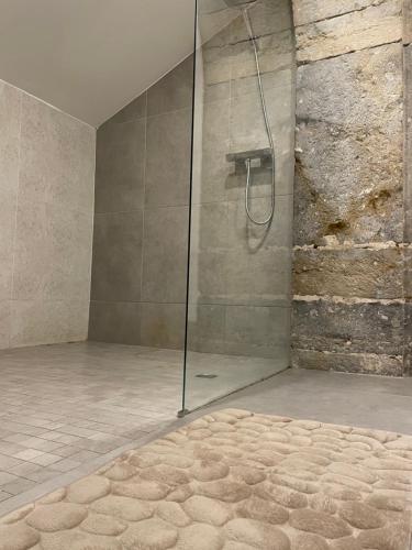 a bathroom with a shower with a glass door at Le Jardin Suspendu Vieux-Lyon - Option Garage in Lyon