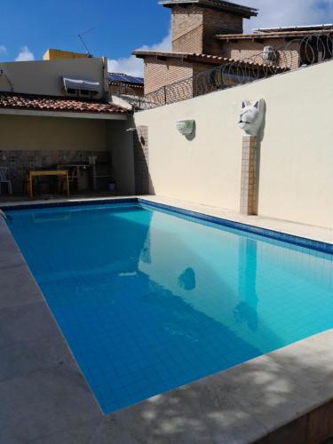 a swimming pool with a cat on the side of a house at Pousada Sapê in Praia do Frances