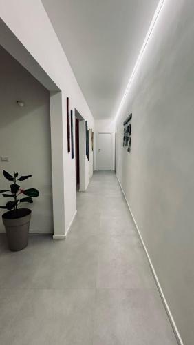 um corredor com paredes brancas e um vaso de plantas em Birimari house em Arezzo